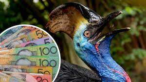 Top 10 Most Expensive Insurance Claims