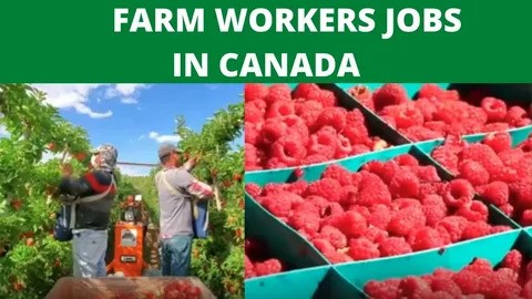 Farm Jobs in Canada