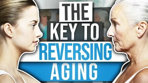 Uncovering the Secrets of Age Reversal