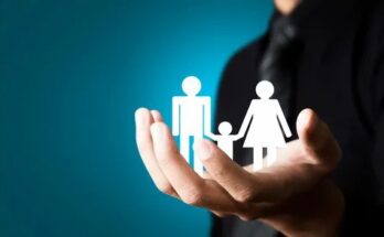 The Ultimate Guide to Insurance